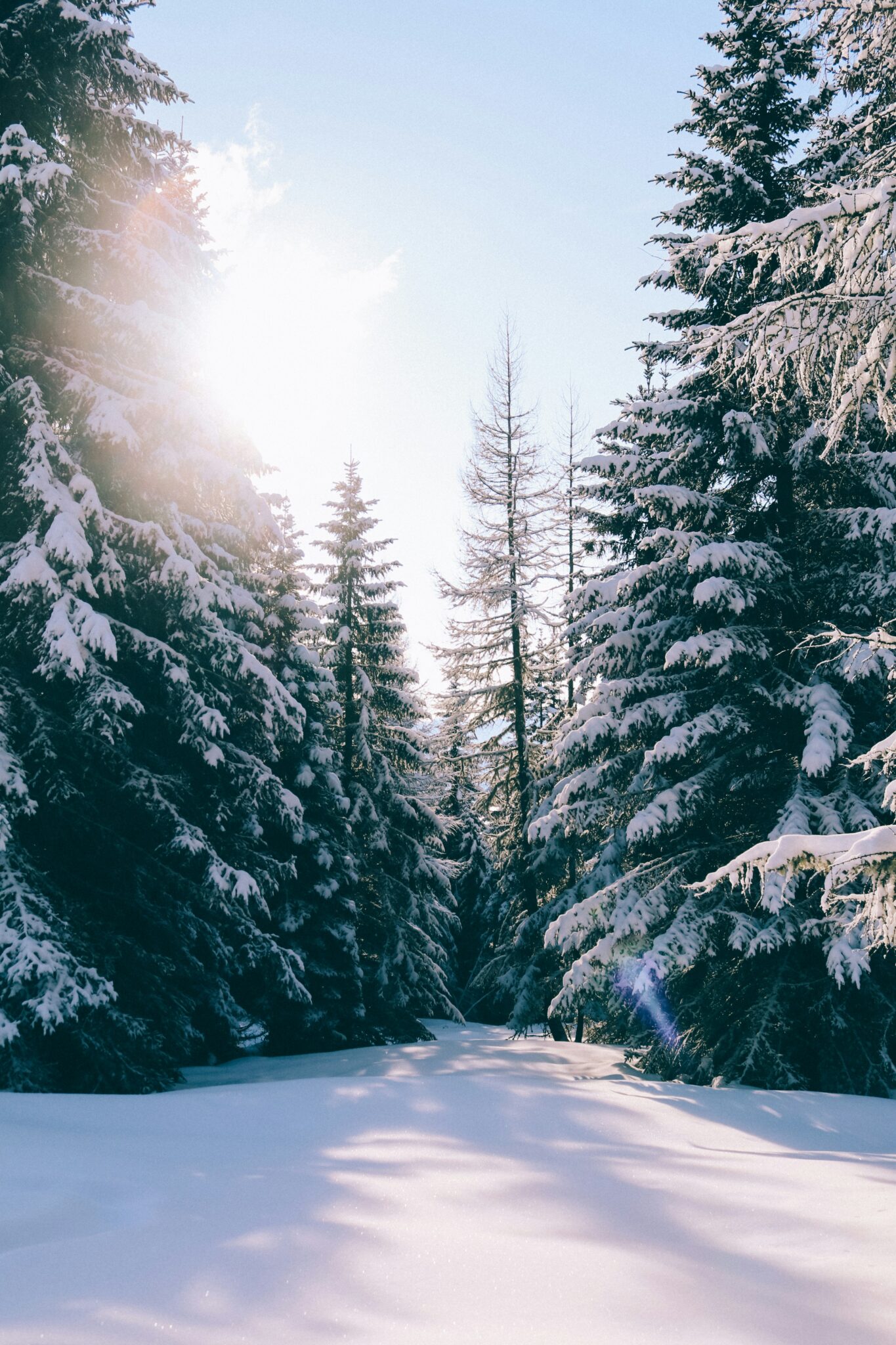 else-marie-de-leeuw-Y9PrWAYlwVo-unsplash (1)