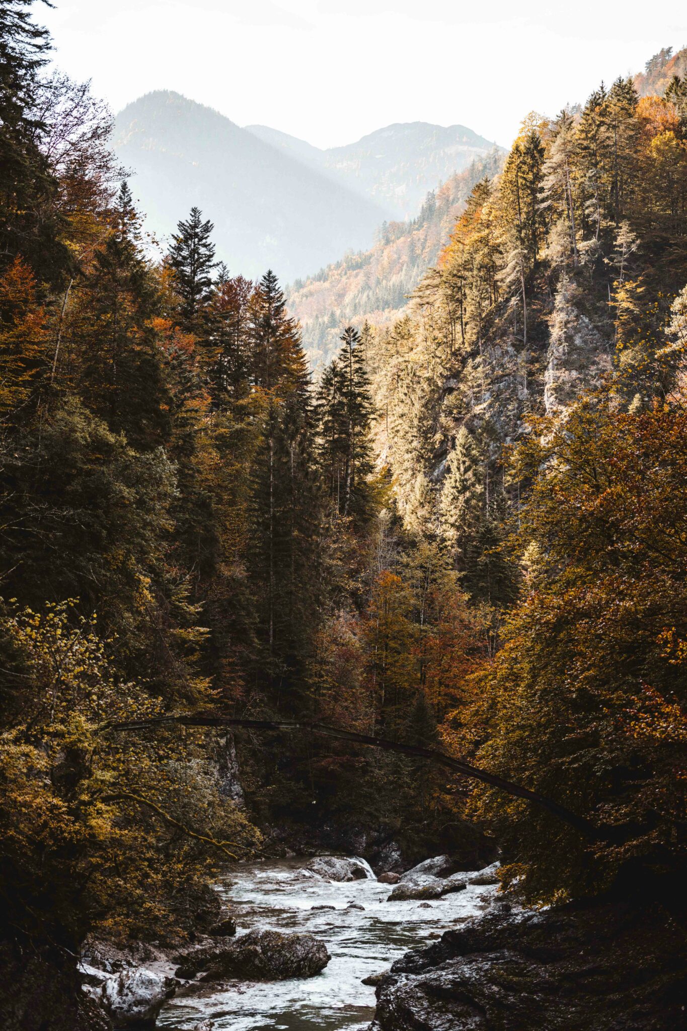 frank-van-hulst-PlqJ2A_l8DA-unsplash